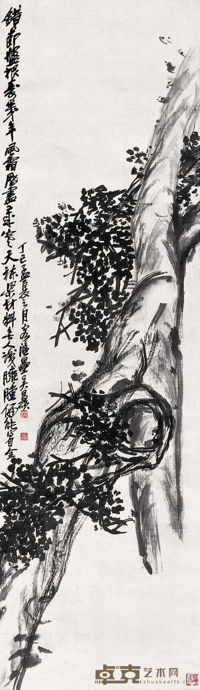 吴昌硕 1917年作 柏树图 立轴 138×40cm
